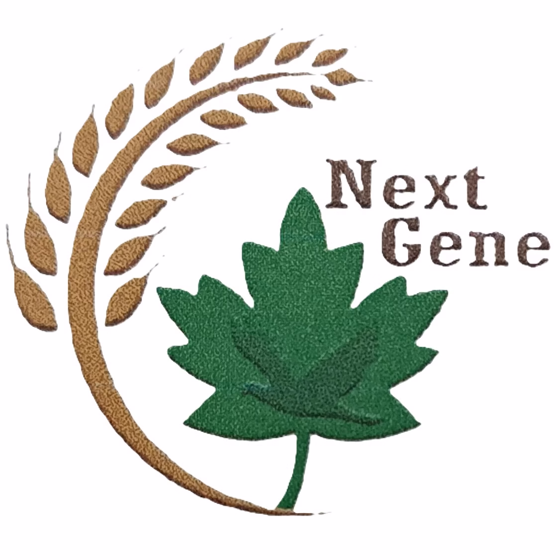 Next Gene Ltd